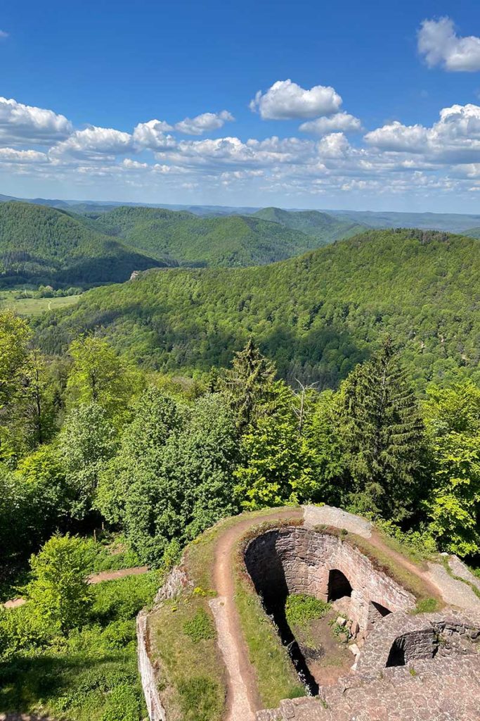 Vue depuis le chateau du Hohenbourg