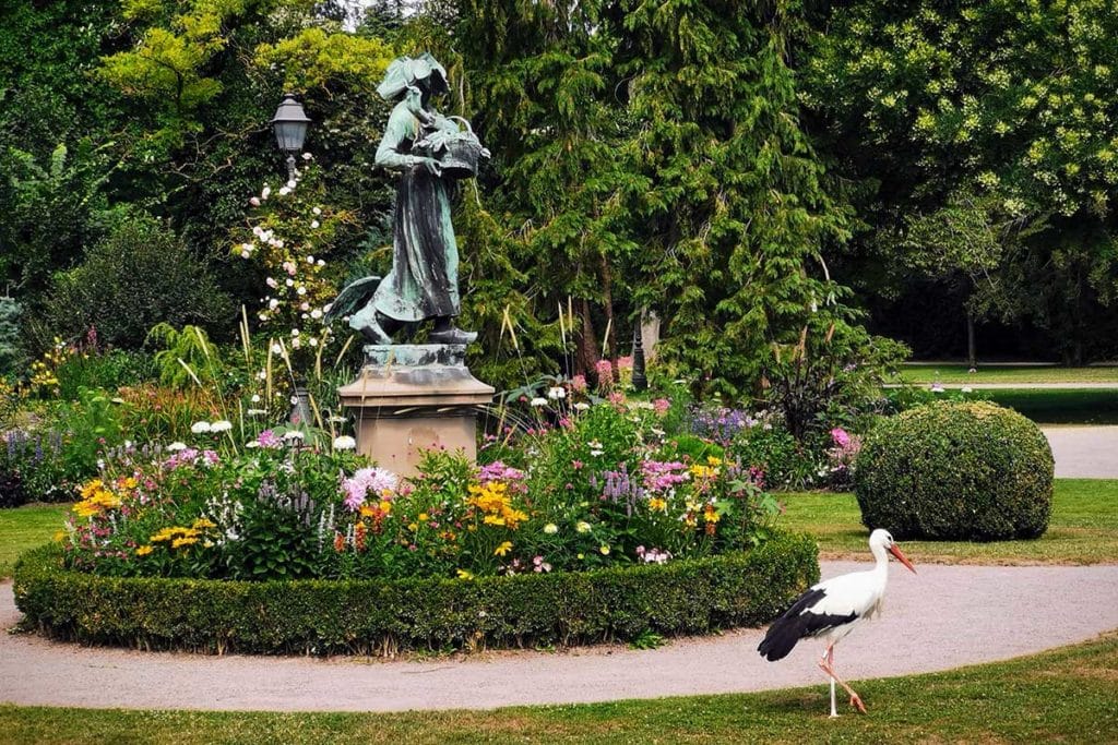 Cigogne devant la statue de Gänseliesel à l'Orangerie