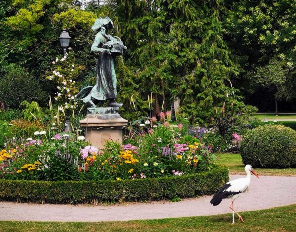 Où voir des cigognes à Strasbourg ?