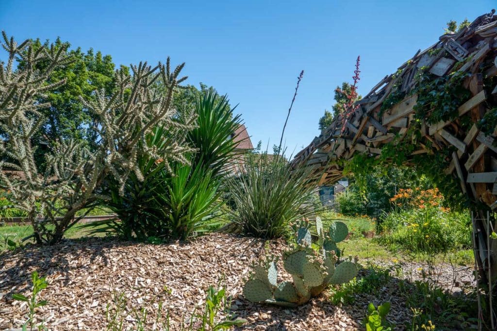 Jardin participatif d'Apollonia à la Robertsau