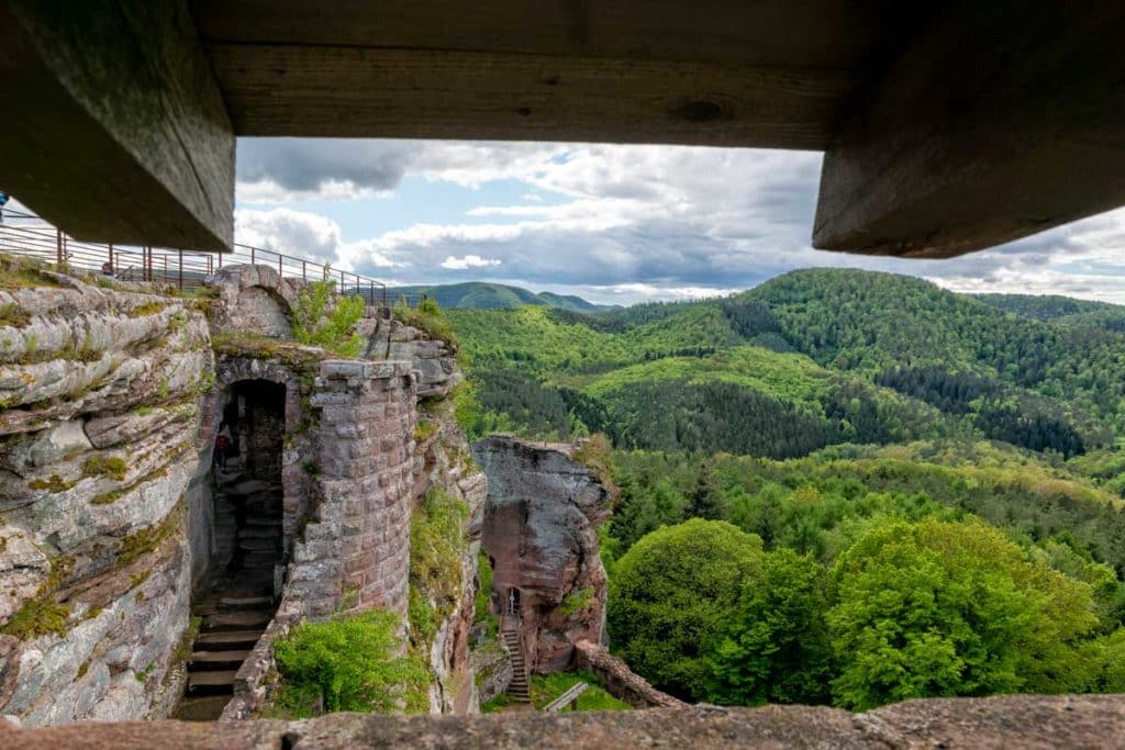 Vue sur la forêt depuis la plateforme du château de Fleckenstein