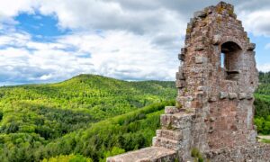 Visite du château de Fleckenstein