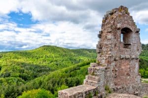 Vue sur la forêt depuis les ruines du château fort de Fleckenstein