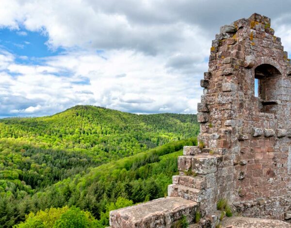 Visite du château de Fleckenstein