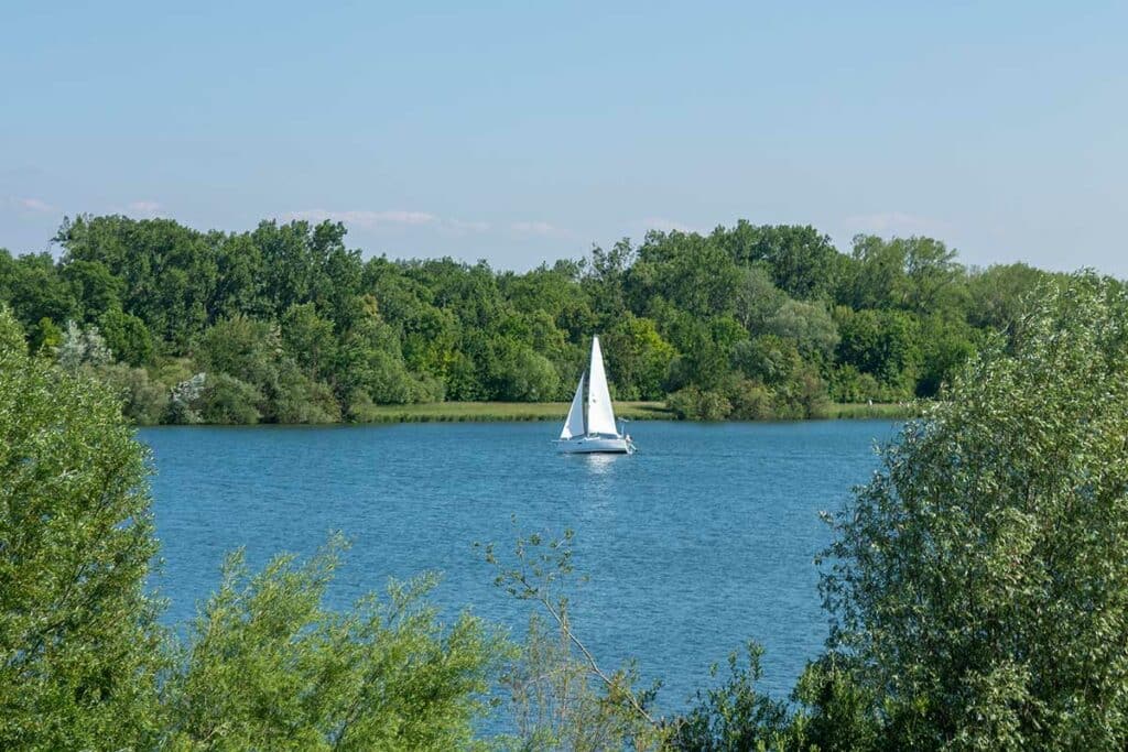 Bateau sur le Rhin vu depuis l'île de Rohrschollen