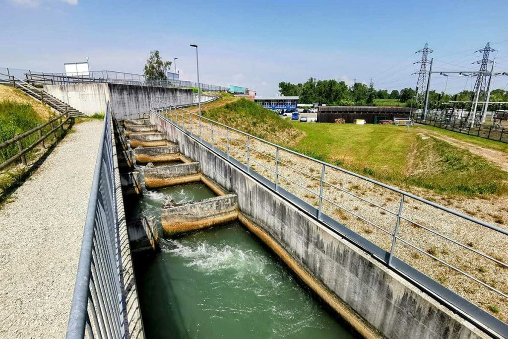 La passe à poissons de l'île de Rohrschollen