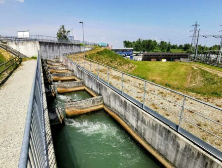 À Strasbourg, une impressionnante passe à poissons sur l’île du Rohrschollen