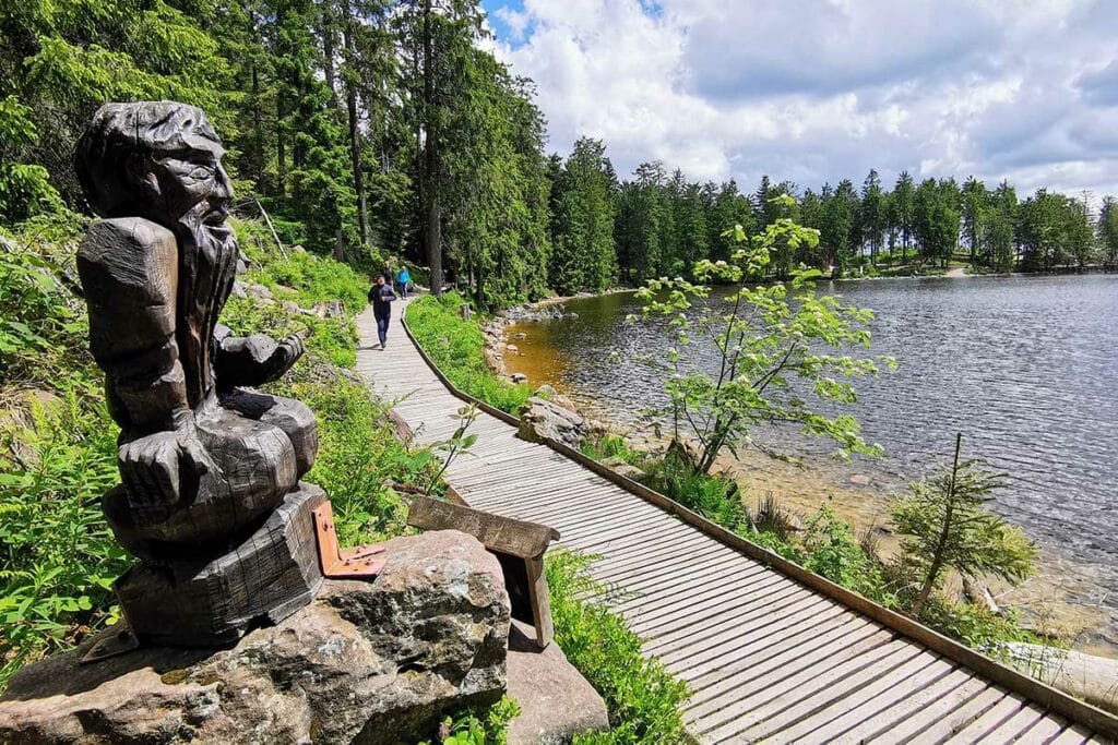 Le roi du Mummelsee