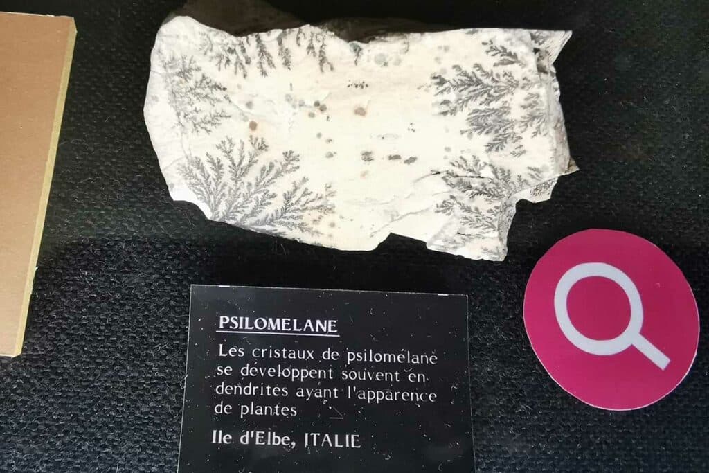 Les cristaux de psilomelane ressemblent à des plantes