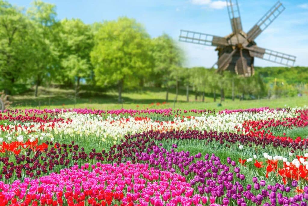 Le parc de Keukenhof aux Pays-Bas