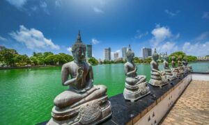Voyage au Sri Lanka : mes conseils et mes incontournables