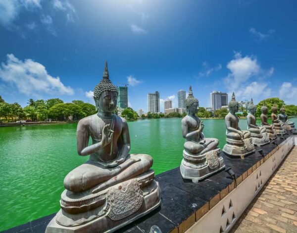 Voyage au Sri Lanka : mes conseils et mes incontournables