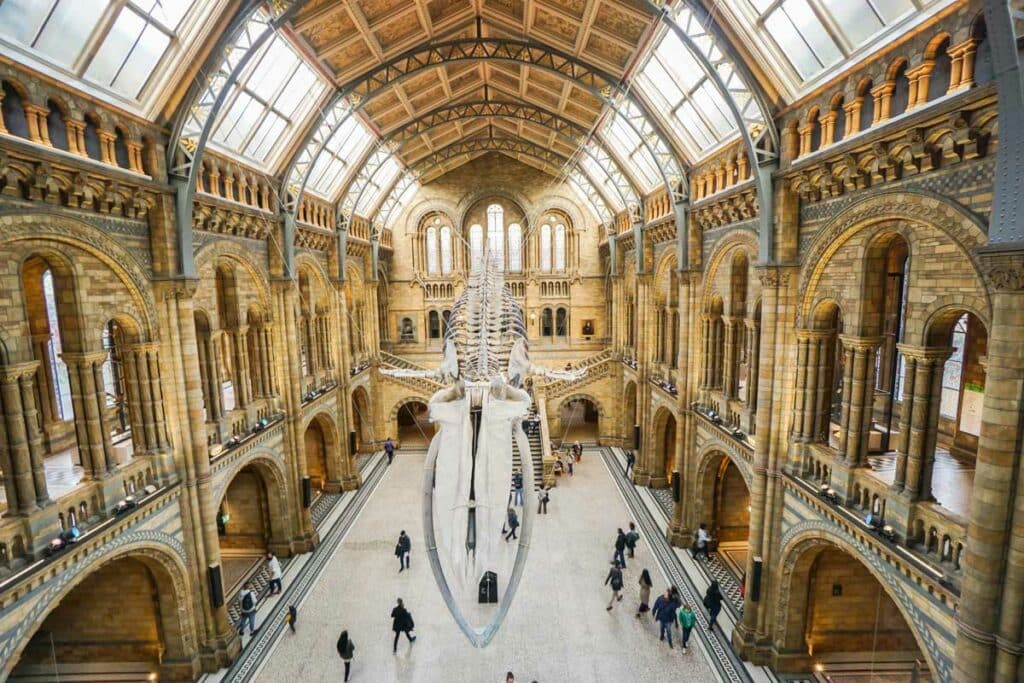 Musée d'histoire naturelle de Londres