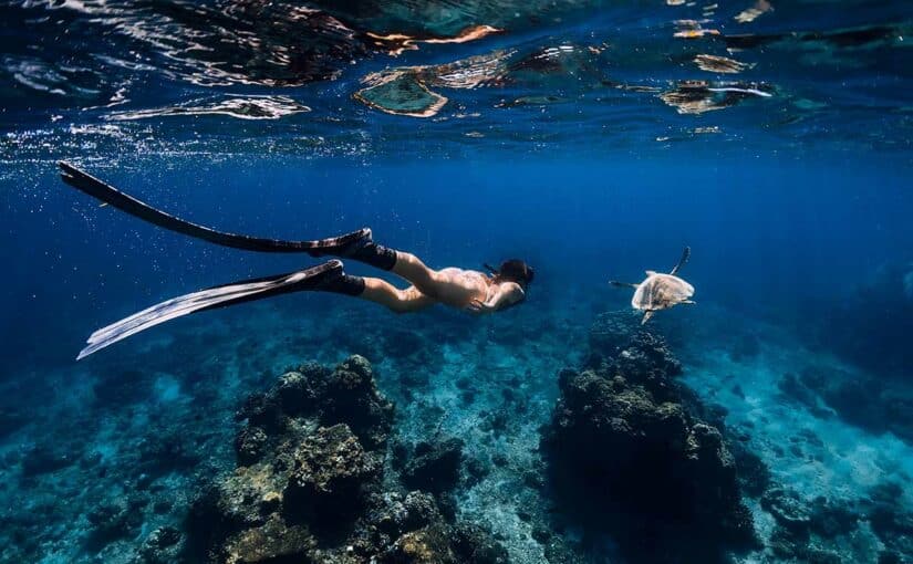 Faire de la plongée en apnée
