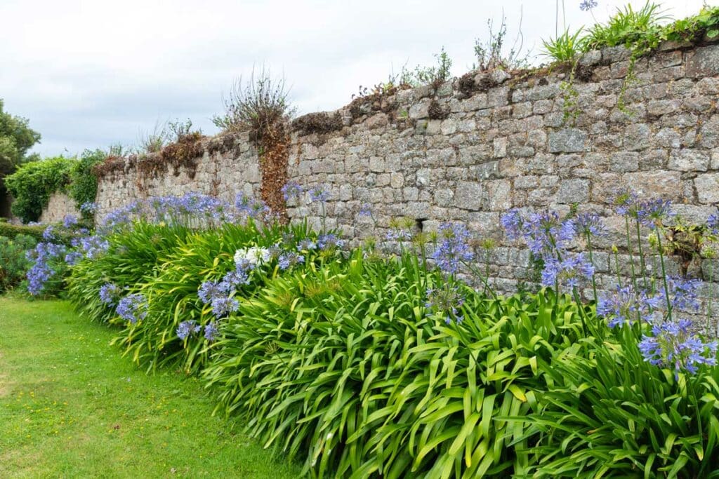 Jardins sur Tatihou